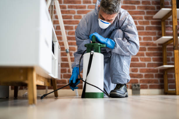 Best Pest Control for Multi-Family Homes  in Hauppauge, NY